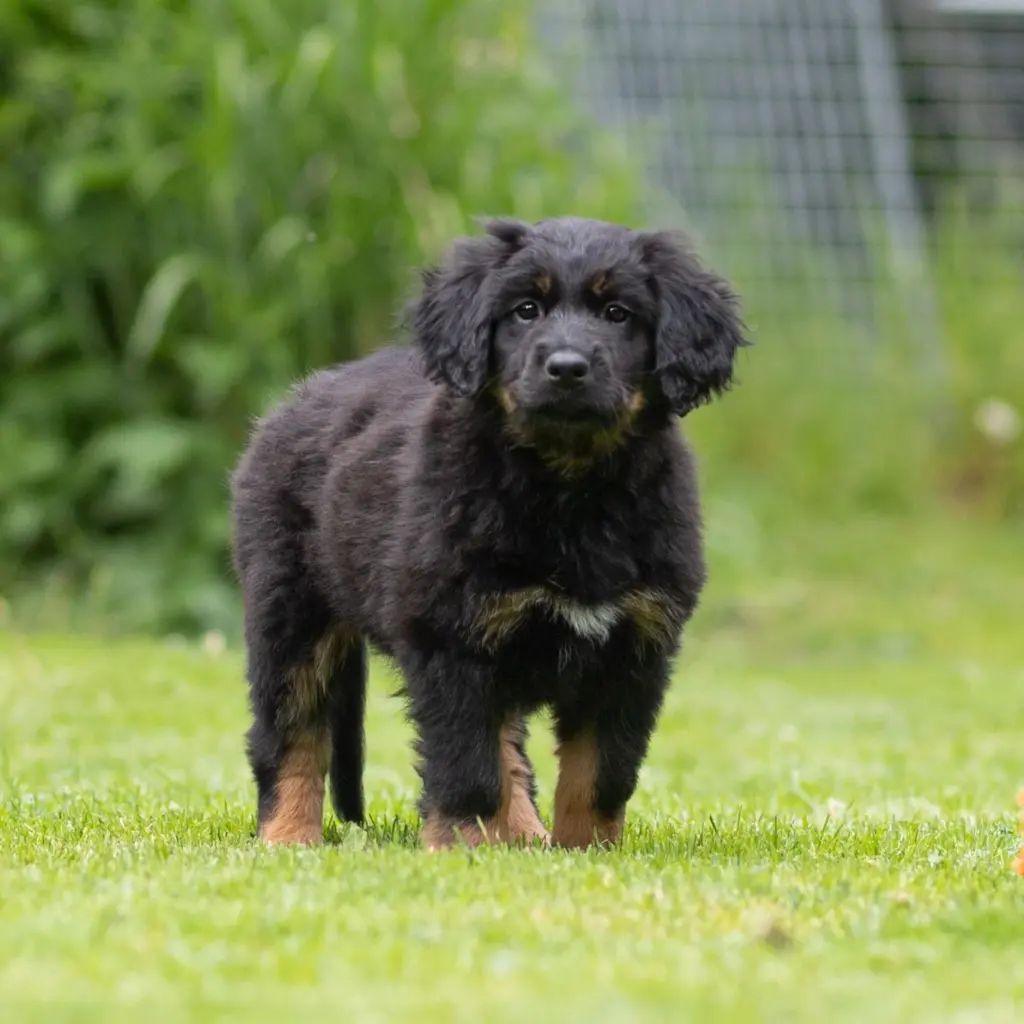 Oona